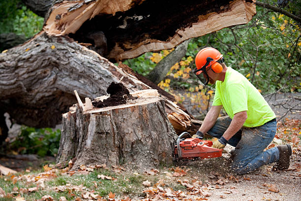 Mulching Services in Garden Grove, CA